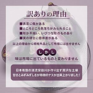 安田町産 「超」 訳あり ナス なす 1kg  新鮮 野菜 茄子 産地直送 季節限定 夏野菜 ナス 訳あり TR-0001