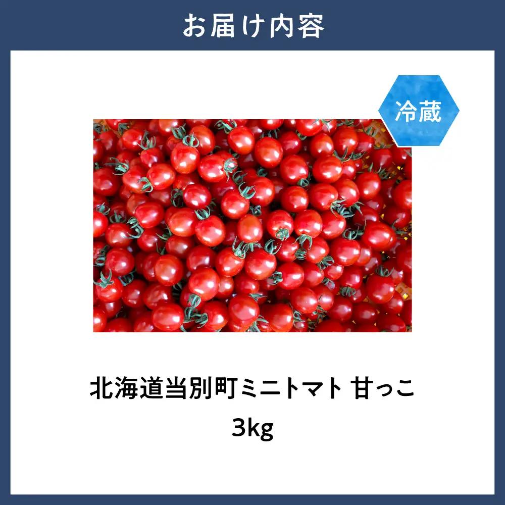 北海道当別町産化学農薬不使用ミニトマト：甘っこ3kg 北海道産 トマト 野菜 大容量 北海道 当別町