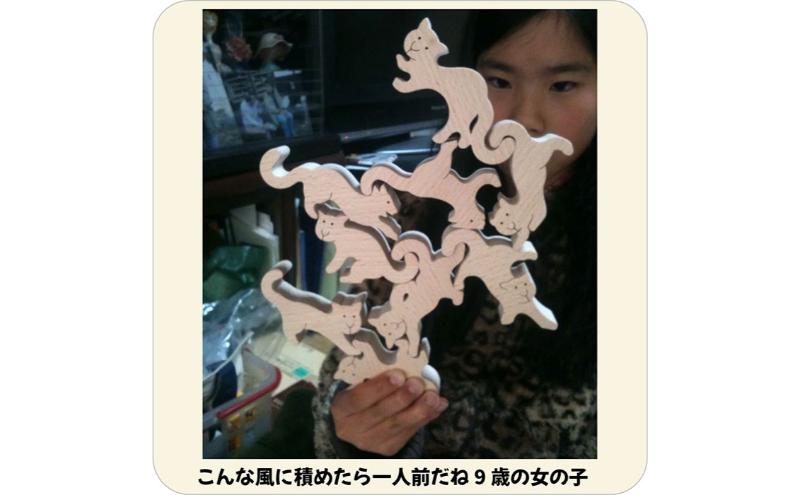 木のおもちゃ/ネコの自由積み木 psc 世界まる見えテレビ特捜部に登場 知育玩具 出産祝い 型はめ パズル 赤ちゃん おもちゃ 日本製 男の子女の子 プレゼント 木製 老人 リハビリ 玩具療法