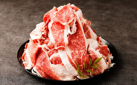 くまもと黒毛和牛プレミアム和王 切り落とし 約1kg（約500g×2パック） 黒毛和牛 和牛 牛肉 肉 国産 熊本県 湯前町