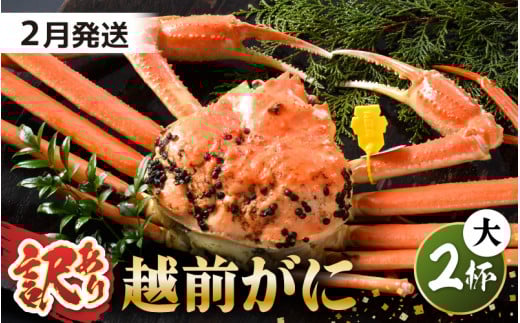 【先行予約】【訳あり】 茹で「越前ズワイ蟹」 大 2杯 脚折れ 【2026年2月発送分】【わけあり ワケアリ カニ かに 蟹 越前ガニ 越前蟹 ずわいがに ズワイガニ ズワイ ボイルガニ 姿 ボイル 冬の味覚 冷蔵 国産 県産】 [N-1401_02]