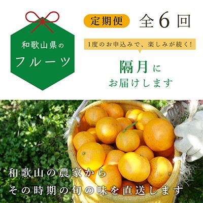 ふるさと納税 広川町 【発送月固定定期便】フルーツ定期便B【フルーツ定期便】【和歌山県有田】全6回 |  | 01