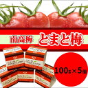 【ふるさと納税】 とまと梅tomato-ume 100g×5個 / 梅干し 梅干 梅
