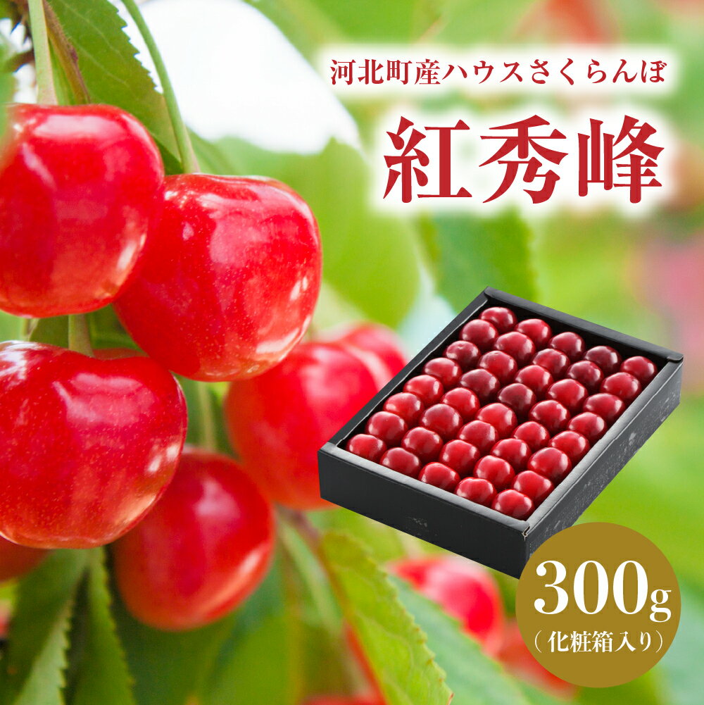 【ふるさと納税】【令和8年産】5月 ハウスさくらんぼ 紅秀峰 2L サイズ 300g 特秀品 化粧箱 数量限定 冷蔵配送 加温 サクランボ チェリー フルーツ 果物 果肉 青果 贈答 プレゼント 贈り物 お取り寄せ 送料無料 東北 山形県 河北町【JAさがえ西村山】