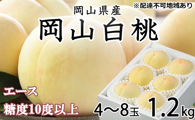 桃 2024年 先行予約 岡山 白桃 エース4～8玉 約1.2kg JA おかやま のもも（早生種・中生種） もも モモ 岡山県産 国産 フルーツ 果物 ギフト