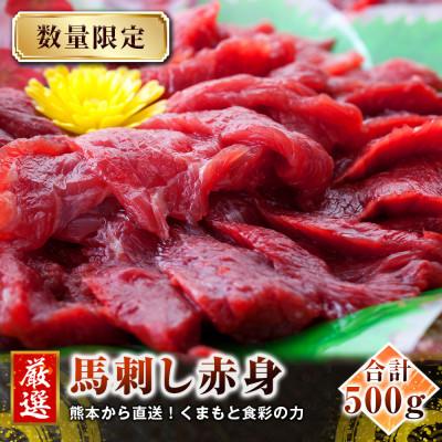 ふるさと納税 水俣市 熊本直送　馬刺しブロック肉　赤身500g(水俣市)