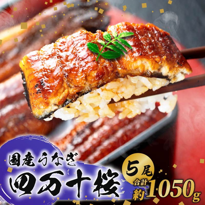 【ふるさと納税】【通常用】極上国産うなぎ四万十桜 蒲焼き約210g×5尾 | 特大 うなぎ 鰻 蒲焼き 国産 四万十鰻 白焼き 調理済み タレ付き ギフト（お歳暮/お正月）高級 お取り寄せ グルメ 食べ比べ 冷凍