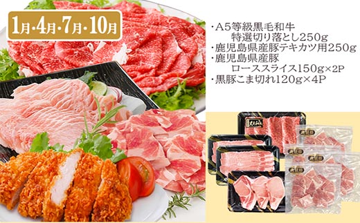 総重量3Kg越え、鹿児島県産黒毛和牛と黒豚のお料理定期便(3回配送)　EE0-0002【配送不可地域：離島】【1504377】