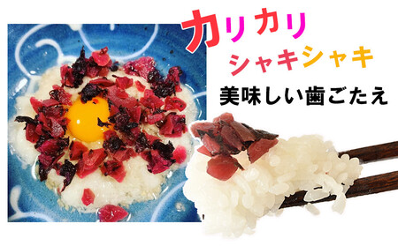 紀州産 カリカリ南高しそ梅 170g×10個 hjumys028