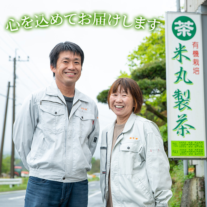 鹿児島緑茶 ティーバッグ(3g×20個) 鹿児島 鹿児島県産 お茶 茶 緑茶 ティーバッグ 個包装 お手軽 ギフト プレゼント 贈り物 常温 【米丸製茶】【A-1945H】