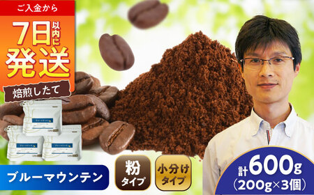 ブルーマウンテンNo.1　コーヒー粉　200g×3個(粉/中挽き)  / コーヒー  ドリップ  粉 / Coffee SAKURA[BBAB090]