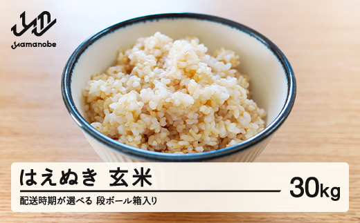 【配送時期が選べる】《先行予約》 2025年産 令和7年産 山形県産 はえぬき 玄米 30kg（段ボール箱入り）（2025年12月前半にお届け）お米 ブランド米 こめ コメ ※沖縄・離島への配送不可 ff-hagxb30-12f