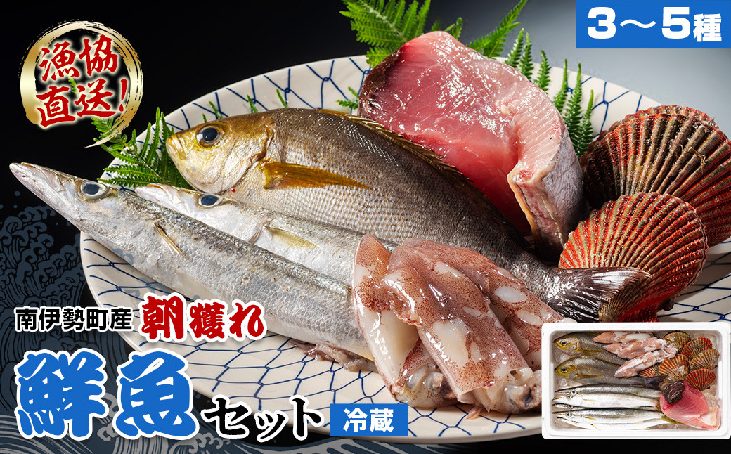 
（冷蔵）漁協直送！　南伊勢町産　3～5種　朝獲れ鮮魚セット／三重外湾漁業組合　お刺身　新鮮　詰合せ　おいしい　とれたて　旬　三重県　伊勢志摩
