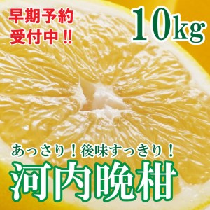 【10営業日以内発送】河内晩柑 ばんかん 約 10kg 家庭 柑橘 かんきつ フルーツ 果物 くだもの すぐ届く 早い 甘い さっぱり 厳選 愛媛 みかん 蜜柑 愛南 ご当地 ブランド 野菜 サラダ ピール ゼリー お菓子 デザート マルエム直販 愛媛県 愛南町
