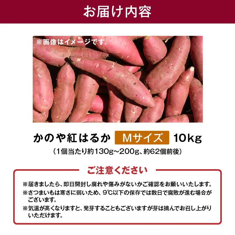 1674 かのや紅はるか 生芋 Mサイズ 10kg KN011-002-02 菓子 さつまいも 野菜