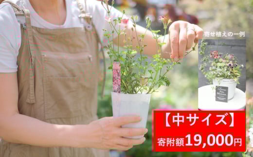 季節の寄せ植え 【 中サイズ 】 季節のお花 造園 園芸 お花 鉢植え 自然 ガーデニング 朝来市 糠 肥料 兵庫県朝来市にある園芸店 「Obriga道（オブリガード）」 からお届け