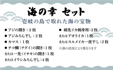イカ 干物 みりん干し 開き 刺身壱岐美食の海の幸セット 《壱岐市》【壱岐美食企画】[JBU004] いか 鯛 タイ アジ アジの開き おつまみ 朝食  11000 11000円  コダワリ干物・ひも