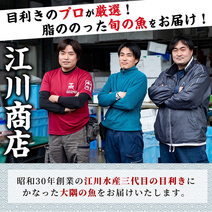 【0193206a】＜数量限定＞鮮度が命！鮮魚問屋が厳選した『早い者勝ち！！200個限定あじBOX』(10～20尾・総量2kg) アジ 鯵 魚 魚介類 鮮魚 海鮮 煮つけ 塩焼き フライ【江川商店】