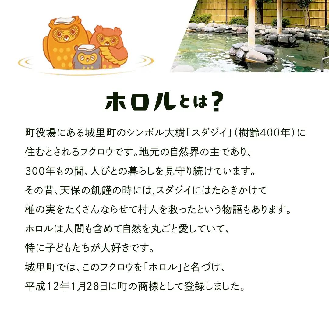 ホロルの湯 招待券 5枚 温泉 大浴場 利用券 回数券 チケット 家族で楽しむ 家族 子供 親子 癒し 休日 夏休み 冬休み 春休み 休み 日帰り温泉 おんせん アルカリ性 ふるさと納税 茨城 城里 