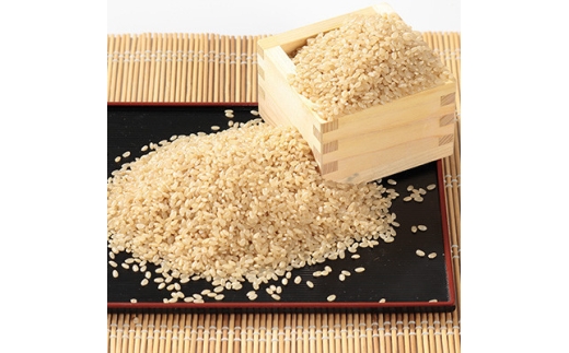 ＜毎月定期便＞ミルキープリンセス 玄米 10kg(5kg×2袋)全6回【4093561】