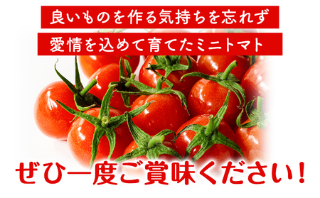 ミニトマト 2kg 出原農園 《1月上旬-5月末頃出荷》 岡山県 矢掛町 野菜 ミニトマト もぎたて 新鮮 st-p