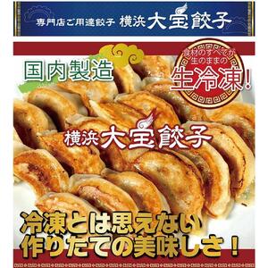 全て国産食材、銘柄豚使用！肉汁あふれる！【横浜大宝餃子】もちもち国産ジャンボ大宝餃子90個（30個×3）老舗餃子メーカー 横浜中華 焼餃子 冷凍餃子 ギョーザ ぎょうざ 大きい 中華 おかず 惣菜 ギ