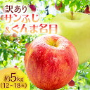 【ふるさと納税】【訳あり】サイキチ農園のサンふじ・ぐんま名月セット 約5kg(12～18玉) 青森県鰺ヶ沢町産りんご　 果物 フルーツ 果汁たっぷり りんご食べ比べ 　お届け：2024年11月5日～12月10日