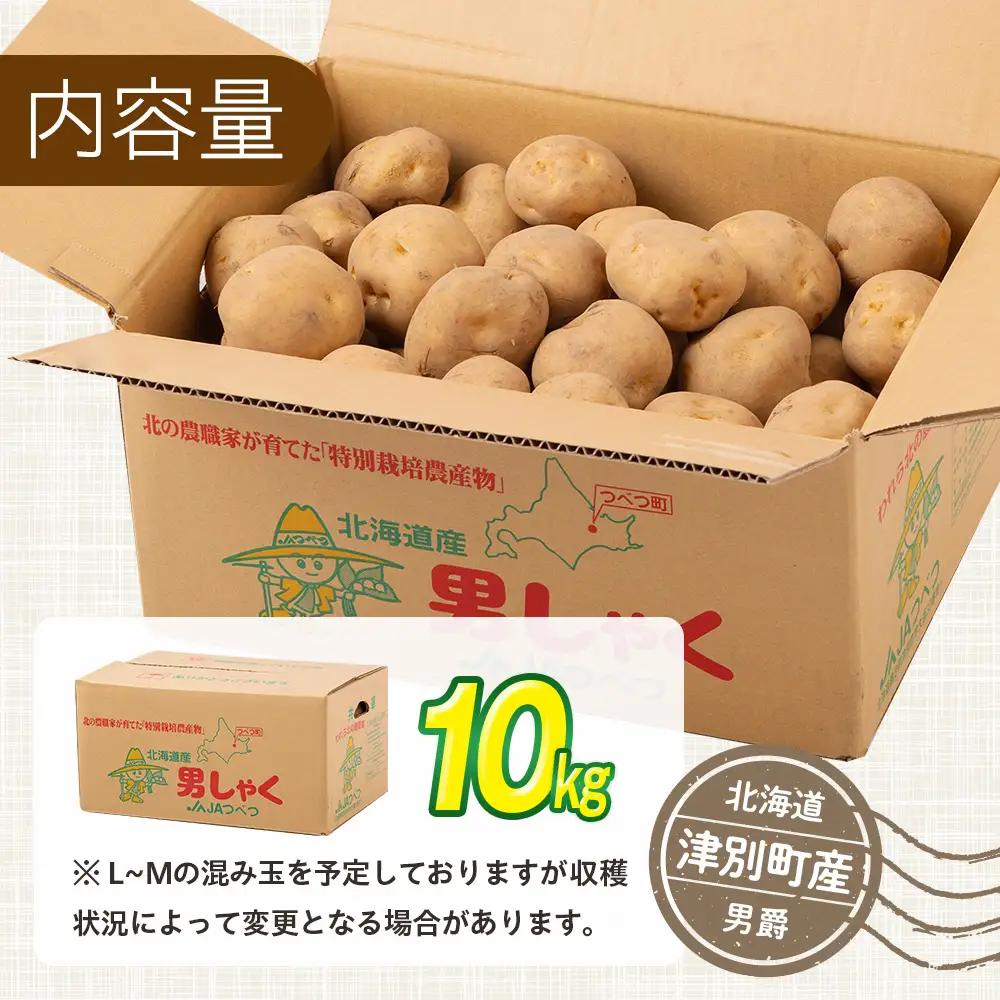 【R8年産先行受付 じゃがいも 10kg 特別栽培（男爵） | ジャガイモ 芋 男爵 馬鈴薯 大容量 新鮮 野菜 煮物 カレー シチュー ポテト 保存 特産 産地直送 北海道 津別町 送料無料