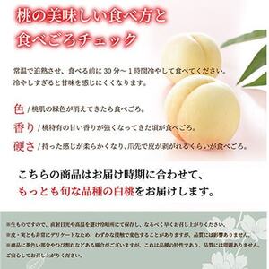 【先行受付】岡山白桃 エース 4～6玉 1kg 岡山県産【配送不可地域：離島・北海道・沖縄県】【1305692】