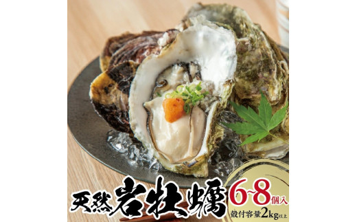 天然岩牡蠣　計2kg以上(6～8個入) SD0267