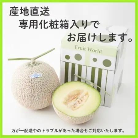 静岡県磐田市 クラウンメロン 白等級 約1.3kg×1個【配送不可地域：離島・北海道・沖縄県】【1640717】