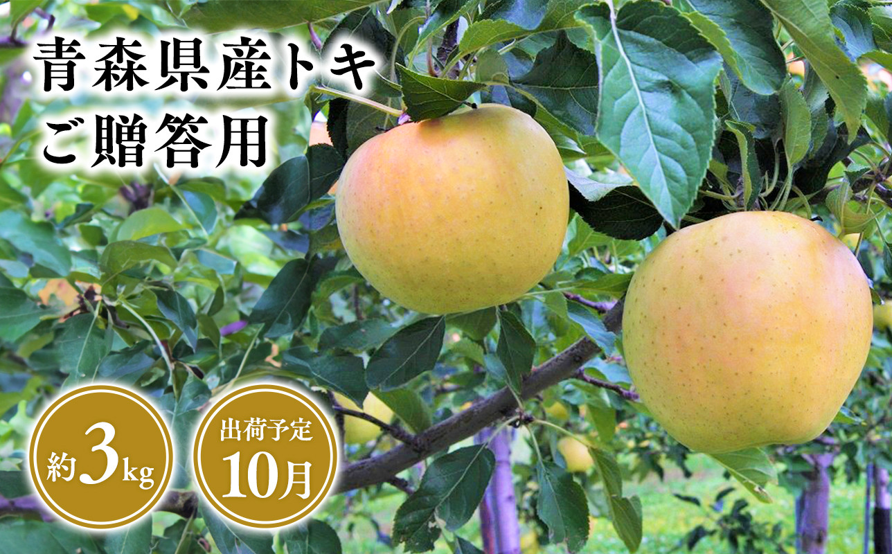 
            2025年産１０月発送　贈答用トキ3kg【青森県 平川市 そと川りんご園】１０月発送 贈答 青森 青森県産 平川 りんご リンゴ 林檎 くだもの 果物 フルーツ 
          
