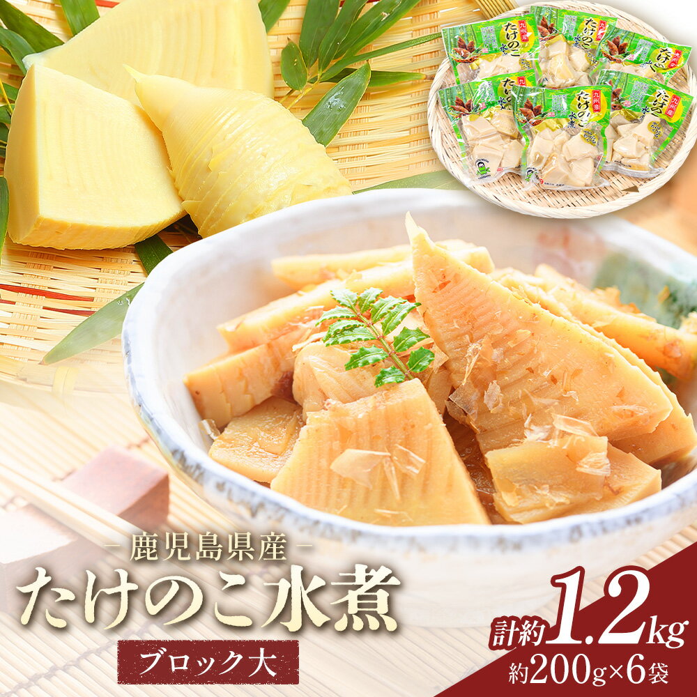 【ふるさと納税】たけのこ 水煮 詰め合わせ ブロック大 九州産 計約1.2kg 約200g×6袋 北薩農産加工場《30日以内に出荷予定(土日祝除く)》鹿児島県 さつま町 送料無料 惣菜 タケノコ 筍 竹の子 パック 水煮 お取り寄せグルメ