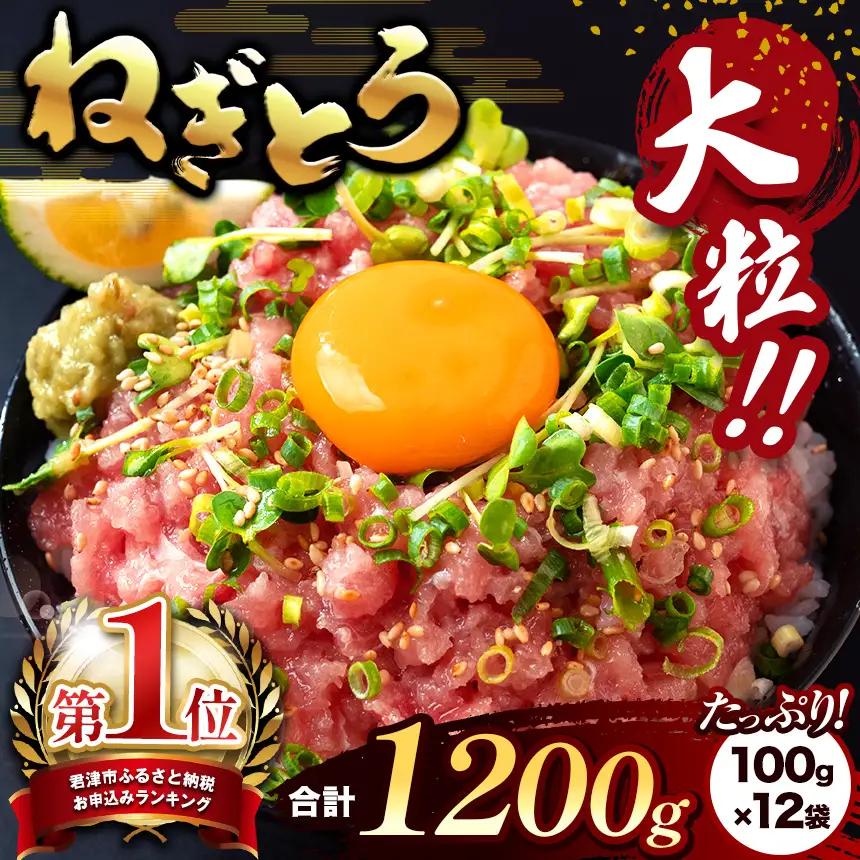 ねぎとろ 1200g（100g×12袋） スピード発送 | 最短7日以内発送 ネギトロ マグロ 清幸丸水産 君津市