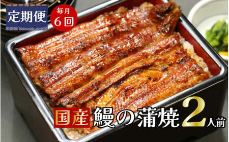 【定期便】全６回 コース 蒲焼 割烹うな繁 特選 国産 うなぎ 蒲焼 真空パック ２人前 こだわり 富士山 湧水 ウナギ 鰻 土用 丑の日 個包装 かば焼き 人気 美味しい 小分け 簡単 調理 静岡県