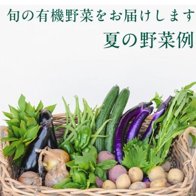 ふるさと納税 掛川市 【毎月定期便】オーガニックビレッジ・有機農業の会・有機野菜セット(Lセット)全12回 |  | 01