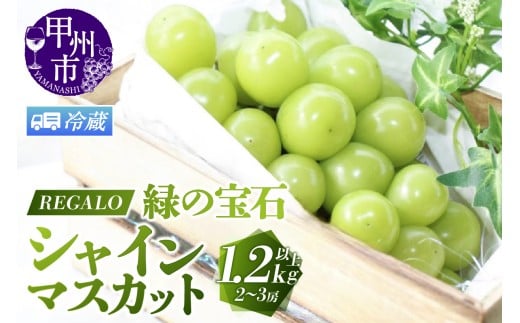 【冷蔵便】頬張る幸福感 ～緑の宝石・シャインマスカット～ 1.2kg以上 2～3房【2026年発送】（RG）B-843CO 【シャインマスカット 葡萄 ぶどう ブドウ 令和8年発送 期間限定 山梨県産