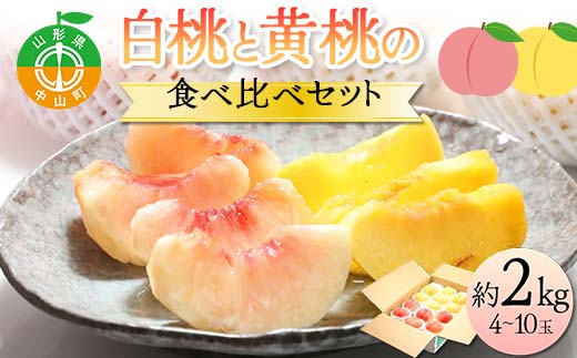 《2026年先行予約》どちらも食べたい！白桃と黄桃の食べ比べセット 約2kg（4～10玉） 桃 もも フルーツ 果物 くだもの 山形県 中山町 F4A-0429