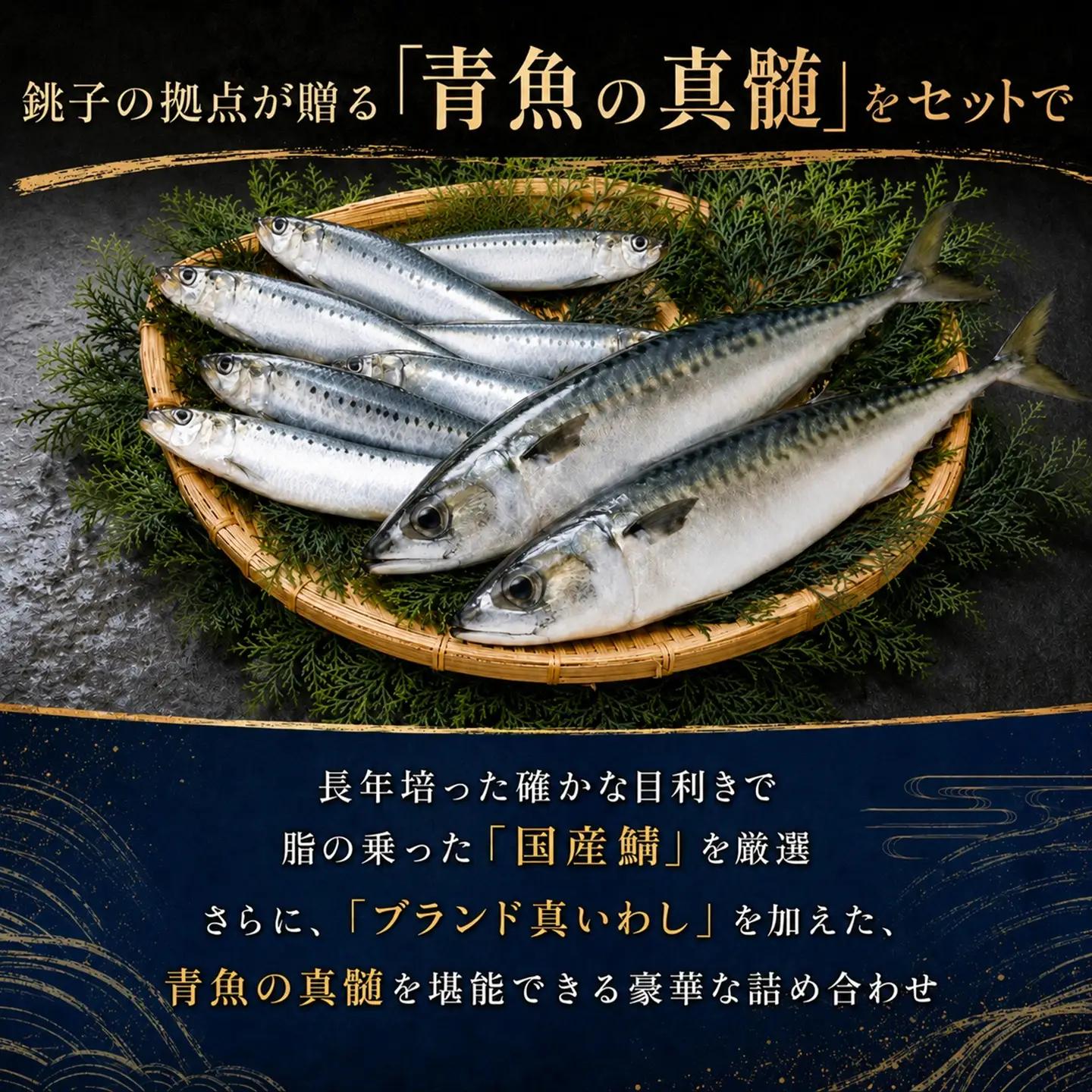 しめさば いわし 5種 食べ比べセット