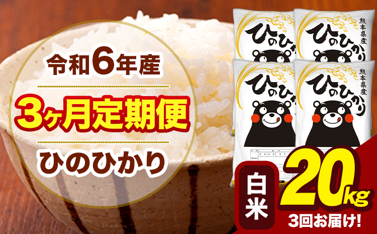 令和6年産 【3ヶ月定期便】 白米 米 ひのひかり 20kg《お申し込み月の翌月から出荷開始》熊本県 大津町 国産 熊本県産 白米 送料無料 ヒノヒカリ こめ お米---hn6tei_132000_20kg_mo3_oz_h---