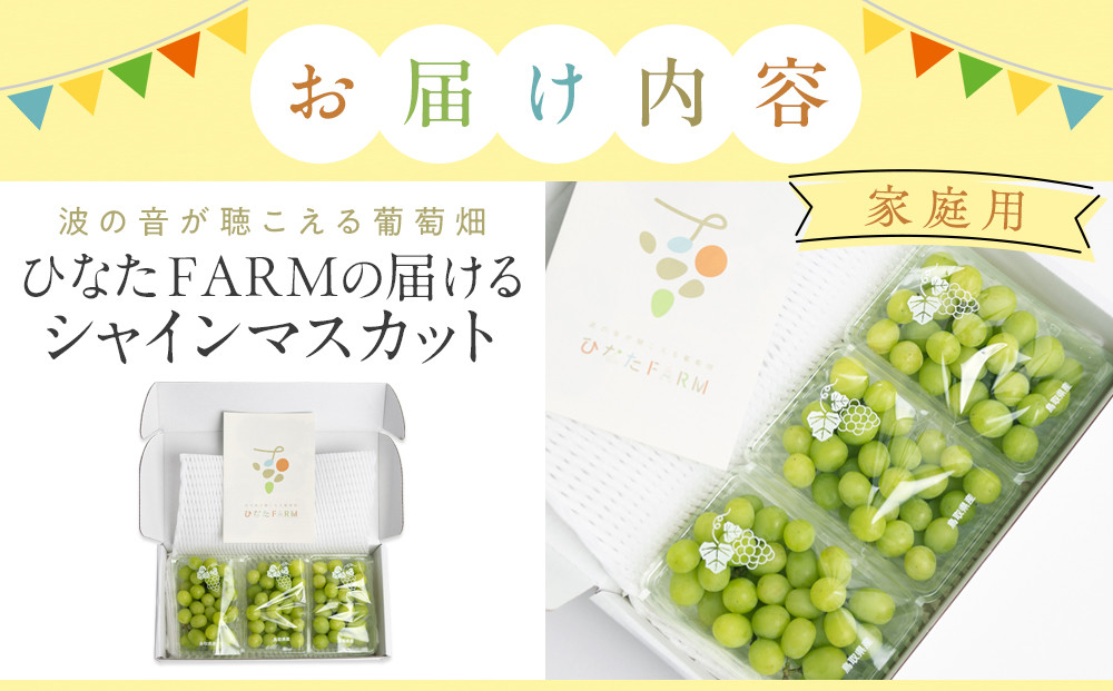 1039.【家庭用】波の音が聴こえる葡萄畑　ひなたFARM シャインマスカット