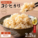 【ふるさと納税】【配送月が選べる】【新米】環境保全型コシヒカリ 玄米2.2kg【2024年産】 千葉県 南房総市 お米 米 ブランド米 ご飯 離乳食 米作り おにぎり 赤ちゃん お弁当 栄養 お取り寄せ グルメ 送料無料