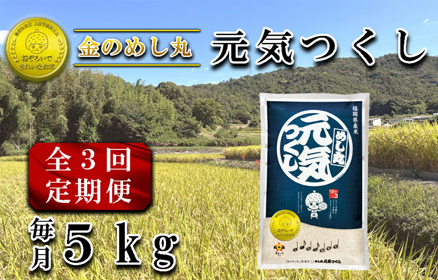 【ふるさと納税】【定期便3回】令和7年米　金のめし丸元気つくし 5Kg（1袋）×3回_CE-083