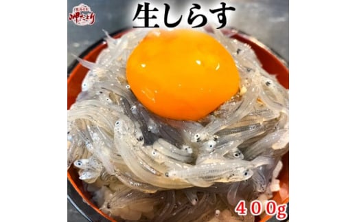 生しらす お刺身 約400g (100g×4P) 小分け 冷凍 真空パック 便利 簡単 刺身 パック 生しらす シラス 生しらす丼 しらす お刺身 海鮮丼 しらす丼 生しらす 生姜 醤油 お吸い物 生しらす シラス 新鮮 海鮮 ふるさと納税刺し身 魚貝 海産物 魚貝類 海の幸 魚 小魚 さかな ふるさと納税しらす ふるさと納税刺身 しらす 岬だより 人気 おすすめ 愛知県 南知多町