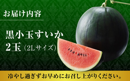 【先行予約】【数量限定】黒小玉スイカ 2玉 2Lサイズ 【株式会社 前田ファーム】黒小玉スイカ 小玉スイカ 西瓜 すいか 熊本スイカ 熊本県産スイカ 九州産スイカ スイカ2玉 すいか 西瓜 国産スイカ