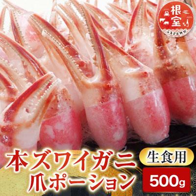 ふるさと納税 根室市 生食用本ズワイガニ爪ポーション500g A-14237