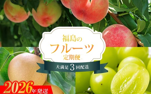 No.2528 【2026年発送　先行予約】フルーツ３種定期便