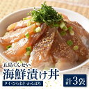 【ふるさと納税】海鮮漬け丼 3点セット【五島くんせい工房】 [PDD024]