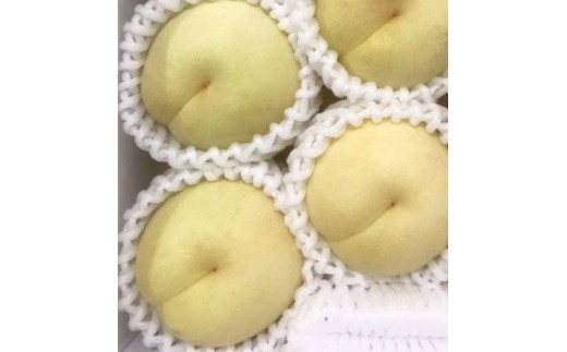 
                  岡山県産 冬桃がたり ３個入り（約600ｇ）
                