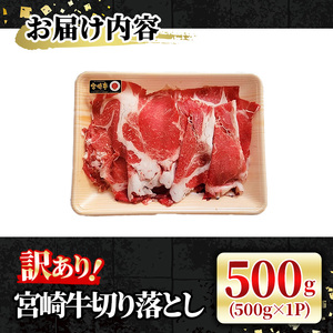 宮崎牛 切り落とし(500g) 牛肉 肉 ブランド牛  冷凍 国産 精肉 お取り寄せ 黒毛和牛 宮崎県 【LJ004】【レグセントジョイラー株式会社】